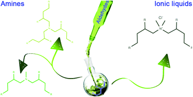 Graphical abstract: Synthesis of Guerbet ionic liquids and extractants as β-branched biosourceable hydrophobes
