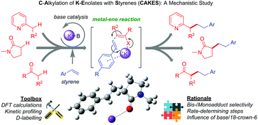 Graphical abstract: Base-catalyzed C-alkylation of potassium enolates with styrenes via a metal–ene reaction: a mechanistic study