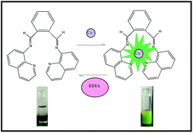 Graphical abstract: A quinoline-based fluorescent probe for selective detection and real-time monitoring of copper ions – a differential colorimetric approach