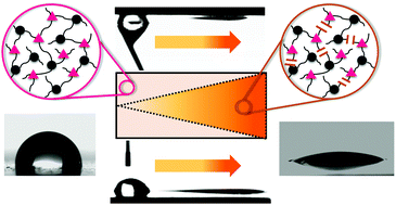 Graphical abstract: Directed motion of water droplets on multi-gradient photopolymer surfaces