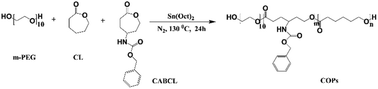 Graphical abstract: Tailoring the degradation and mechanical properties of poly(ε-caprolactone) incorporating functional ε-caprolactone-based copolymers