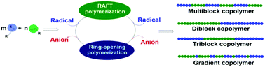 Graphical abstract: Hybrid copolymerization via mechanism interconversion between radical vinyl-addition and anion ring-opening polymerization