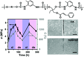 Graphical abstract: Optically healable polyurethanes with tunable mechanical properties