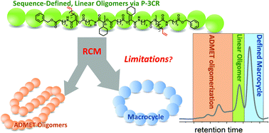 Graphical abstract: Monodisperse, sequence-defined macromolecules as a tool to evaluate the limits of ring-closing metathesis