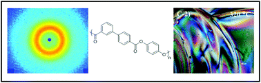 Graphical abstract: Synthesis and characterization of a nematic fully aromatic polyester based on biphenyl 3,4′-dicarboxylic acid