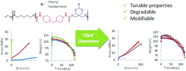Graphical abstract: Application of functional diols derived from pentaerythritol as chain extenders in the synthesis of novel thermoplastic polyester-urethane elastomers