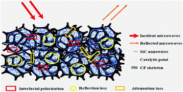 Graphical abstract: Double network nested foam composites with tunable electromagnetic wave absorption performances