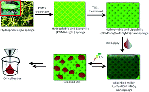 Graphical abstract: TiO2 doped polydimethylsiloxane (PDMS) and Luffa cylindrica based photocatalytic nanosponge to absorb and desorb oil in diatom solar panels