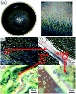 Graphical abstract: Mechanisms of pattern and colour generation of Chinese Tianmu glaze