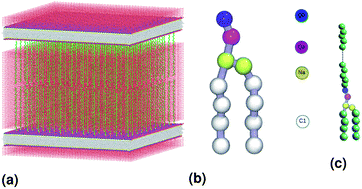 Graphical abstract: Structure and dynamics of liposomes designed for drug delivery: coarse-grained molecular dynamics simulations to reveal the role of lipopolymer incorporation