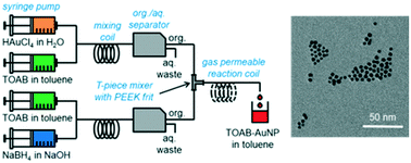 Graphical abstract: Flow-controlled synthesis of gold nanoparticles in a biphasic system with inline liquid–liquid separation