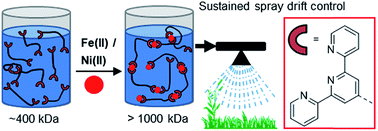 Graphical abstract: Ultra-high molecular weight linear coordination polymers with terpyridine ligands