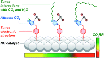 Graphical abstract: Molecular tunability of surface-functionalized metal nanocrystals for selective electrochemical CO2 reduction