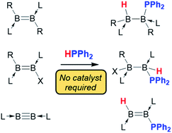 Graphical abstract: Hydrophosphination of boron–boron multiple bonds