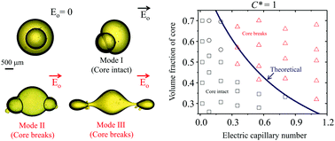 Graphical abstract: Breakups of an encapsulated surfactant-laden aqueous droplet under a DC electric field