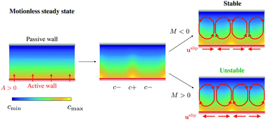 Graphical abstract: Spontaneous onset of convection in a uniform phoretic channel