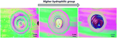 Graphical abstract: Mechanism and control of “coffee-ring erosion” phenomena in structurally colored ionomer films
