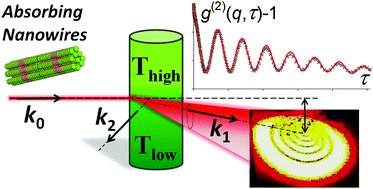 Graphical abstract: Homodyne dynamic light scattering in supramolecular polymer solutions: anomalous oscillations in intensity correlation function