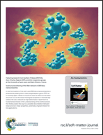 Graphical abstract: Back cover