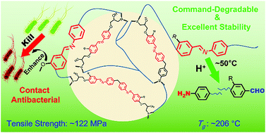Graphical abstract: High-performance, command-degradable, antibacterial Schiff base epoxy thermosets: synthesis and properties