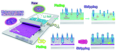 Graphical abstract: Facile and scalable engineering of a heterogeneous microstructure for uniform, stable and fast lithium plating/stripping