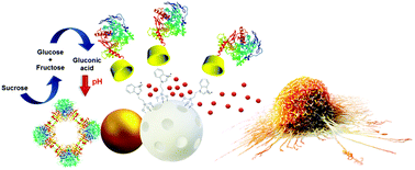 Graphical abstract: Janus nanocarrier powered by bi-enzymatic cascade system for smart delivery