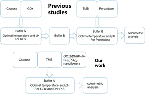 Graphical abstract: The design and characterization of a hypersensitive glucose sensor: two enzymes co-fixed on a copper phosphate skeleton