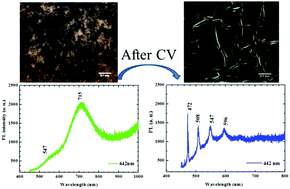 Graphical abstract: Tuning the photoluminescence and anisotropic structure of PEDOT