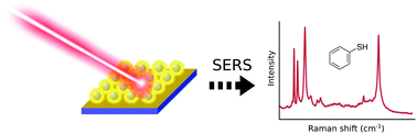 Graphical abstract: Au-covered hollow urchin-like ZnO nanostructures for surface-enhanced Raman scattering sensing