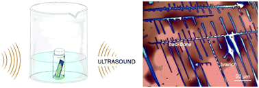 Graphical abstract: Solution-processed organic single-crystalline semiconductors with a fence-like shape via ultrasound concussion