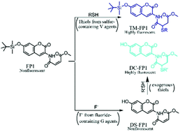 Graphical abstract: A fluorescent probe bearing two reactive groups discriminates between fluoride-containing G series and sulfur-containing V series nerve agents