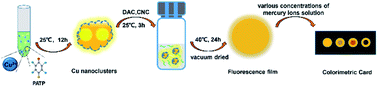 Graphical abstract: The stabilization of fluorescent copper nanoclusters by dialdehyde cellulose and their use in mercury ion sensing