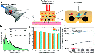 Graphical abstract: The potential role of borophene as a radiosensitizer in boron neutron capture therapy (BNCT) and particle therapy (PT)