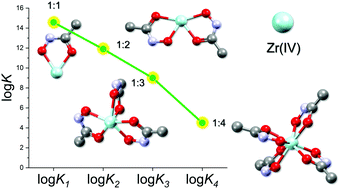 Graphical abstract: Comment on “Investigation of Zr(iv) and 89Zr(iv) complexation with hydroxamates: progress towards designing a better chelator than desferrioxamine B for immuno-PET imaging” by F. Guérard, Y.-S. Lee, R. Tripier, L. P. Szajek, J. R. Deschamps and M. W. Brechbiel, Chem. Commun., 2013, 49, 1002