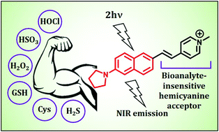 Graphical abstract: A caveat to common hemicyanine dye components and their resolution