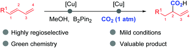 Graphical abstract: Cu-Catalyzed highly regioselective 1,2-hydrocarboxylation of 1,3-dienes with CO2