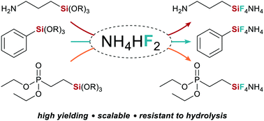 Graphical abstract: Practical and scalable synthesis of bench-stable organofluorosilicate salts