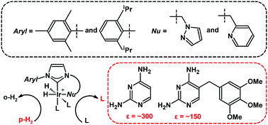 Graphical abstract: Tunable iridium catalyst designs with bidentate N-heterocyclic carbene ligands for SABRE hyperpolarization of sterically hindered substrates