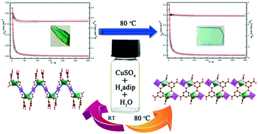 Graphical abstract: Temperature-induced structural transformations accompanied by changes in magnetic properties of two copper coordination polymers