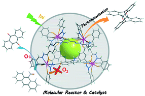 Graphical abstract: High conversion and selectivity of photodimerization under air conditions by supramolecular oxidation restraint within a metallocage-like nanoreactor