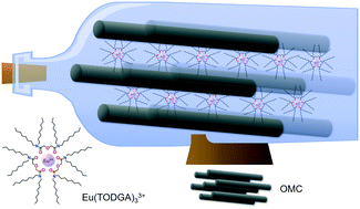 Graphical abstract: Multiscale investigations of europium(iii) complexation with tetra-n-octyl diglycolamide confined in porous solid supports