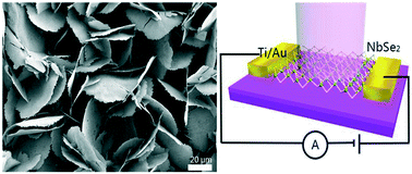 Graphical abstract: Synthesis of NbSe2 single-crystalline nanosheet arrays for UV photodetectors