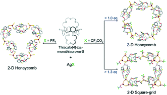 Graphical abstract: Influence of anions and mole ratio on the formation of 2-D coordination networks of thiacalix[4]-bis-monothiacrown-5