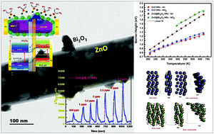 Graphical abstract: Porous, n–p type ultra-long, ZnO@Bi2O3 heterojunction nanorods - based NO2 gas sensor: new insights towards charge transport characteristics