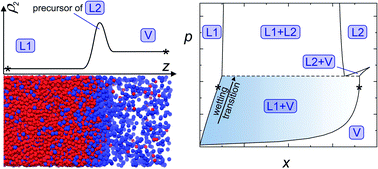 Graphical abstract: Interfacial properties of binary mixtures of simple fluids and their relation to the phase diagram