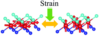 Graphical abstract: Strain modulated ferromagnetic phase transitions in monolayer FeCl2 through exchange competitions: the first-principle and Monte Carlo simulations