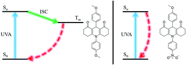 Graphical abstract: Computational and experimental characterization of novel ultraviolet filters