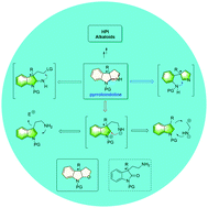 Graphical abstract: Catalytic asymmetric preparation of pyrroloindolines: strategies and applications to total synthesis