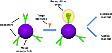 Graphical abstract: Chemical sensing with Au and Ag nanoparticles