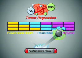 Graphical abstract: Overcoming barriers in photodynamic therapy harnessing nano-formulation strategies